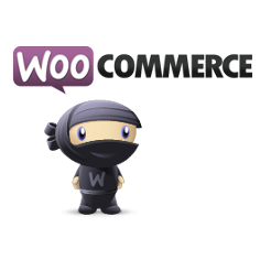 Transformer son site WordPress en boutique en ligne